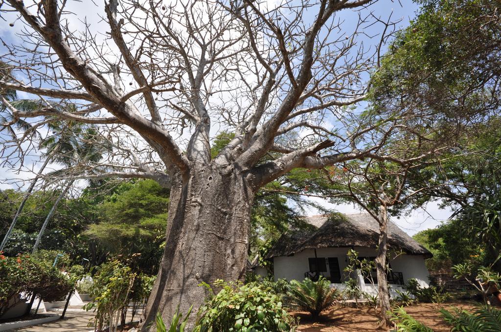 Baobab Sea Lodge Kilifi Kültér fotó